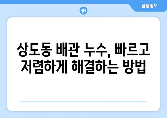 서울 동작구 상도동 배관 누수 해결 가이드| 원인 분석부터 전문 업체 추천까지 | 누수, 배관, 수리, 상도동, 동작구, 서울