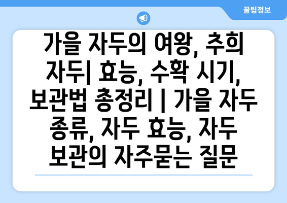 가을 자두의 여왕, 추희 자두| 효능, 수확 시기, 보관법 총정리 | 가을 자두 종류, 자두 효능, 자두 보관