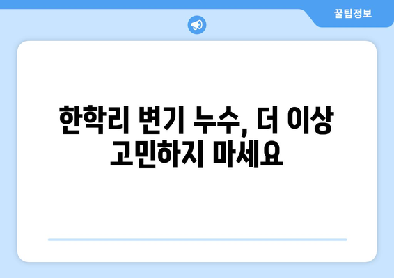 전라남도 강진군 한학리 변기 누수 해결 가이드 | 변기 누수 원인, 해결 방법, 전문 업체 정보