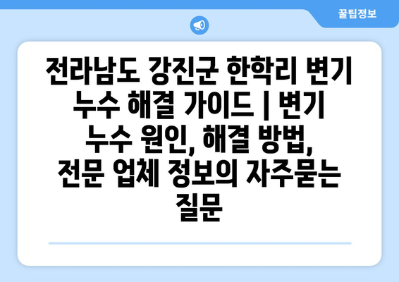 전라남도 강진군 한학리 변기 누수 해결 가이드 | 변기 누수 원인, 해결 방법, 전문 업체 정보