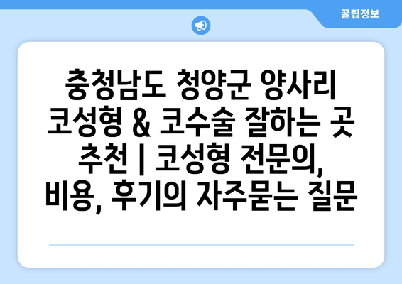 충청남도 청양군 양사리 코성형 & 코수술 잘하는 곳 추천 | 코성형 전문의, 비용, 후기