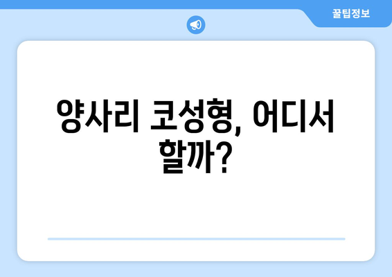 충청남도 청양군 양사리 코성형 & 코수술 잘하는 곳 추천 | 코성형 전문의, 비용, 후기