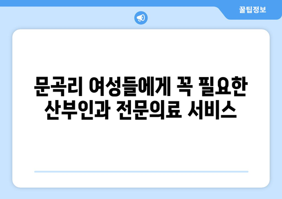 강원도 영월군 문곡리 산부인과 추천| 여성 건강을 위한 최고의 선택 | 산부인과, 여성의학, 진료, 검진, 영월