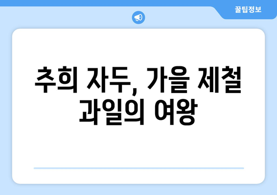 가을 자두의 여왕, 추희 자두| 효능, 수확 시기, 보관법 총정리 | 가을 자두 종류, 자두 효능, 자두 보관