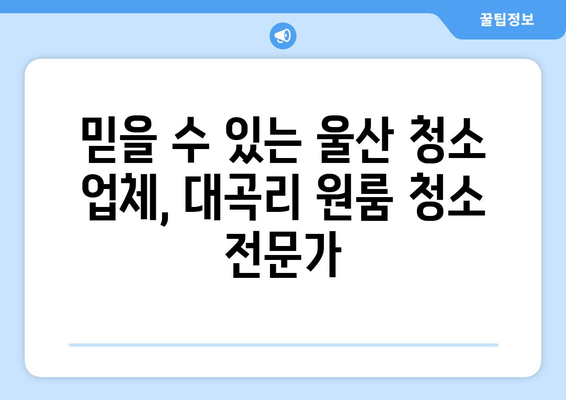 울산 울주군 대곡리 원룸 청소 추천| 깨끗하고 편리한 선택 | 원룸 청소, 울산 청소 업체, 대곡리 청소