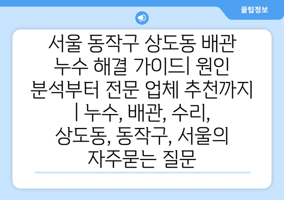 서울 동작구 상도동 배관 누수 해결 가이드| 원인 분석부터 전문 업체 추천까지 | 누수, 배관, 수리, 상도동, 동작구, 서울