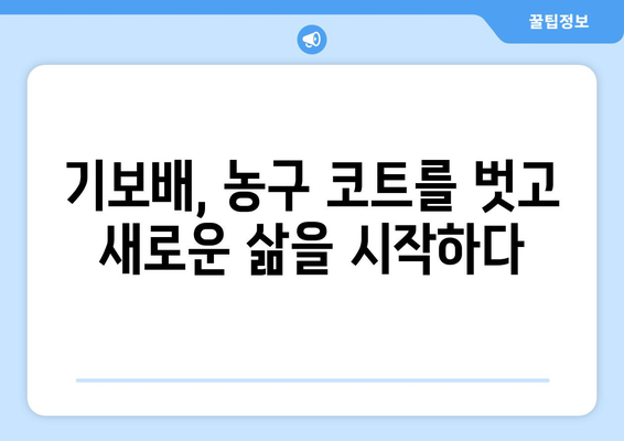 기보배 남편, 누구일까요? | 농구선수 기보배, 결혼, 가족