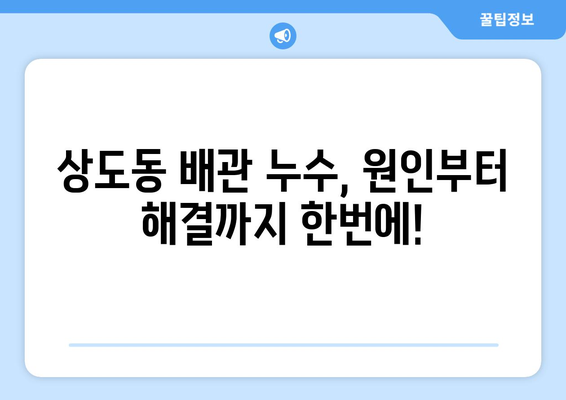 서울 동작구 상도동 배관 누수 해결 가이드| 원인 분석부터 전문 업체 추천까지 | 누수, 배관, 수리, 상도동, 동작구, 서울